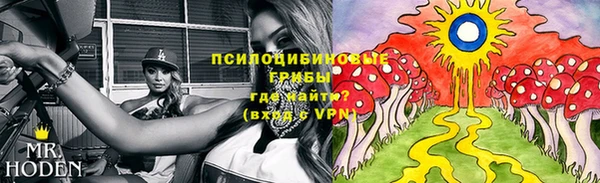 дживик Волосово
