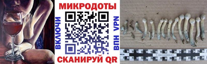 нарко площадка официальный сайт  Оренбург  Галлюциногенные грибы ЛСД 